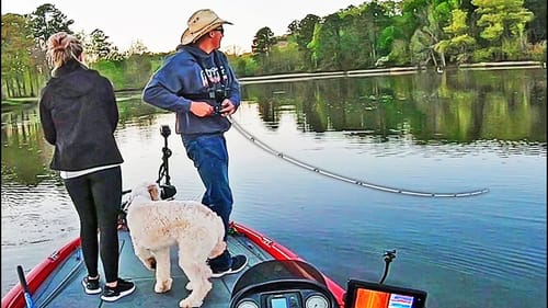 TOURNAMENT FISHING with FROGS and CHATTERBAITS on LAKE GUNTERSVILLE!