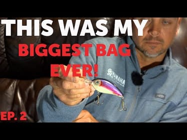 Brown Recliner Series (Ep. 2)