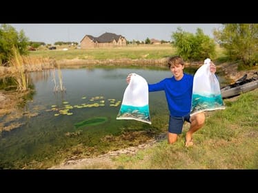 Feeding FRENZY In The Backyard Pond! + Aerator Installation