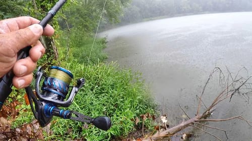 THIS POND IS LOADED WITH BIG FISH!!! How To Catch More Fish In A Pond