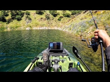 This Lake has come to Life