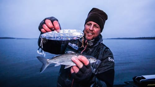 Use Big Bass Flutter Spoons for Pike and Musky