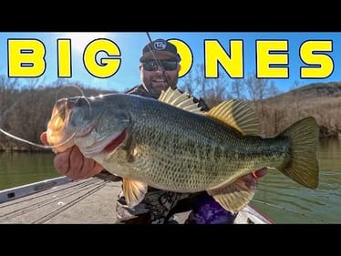 The BEST Bait For The Early Spring Transition!