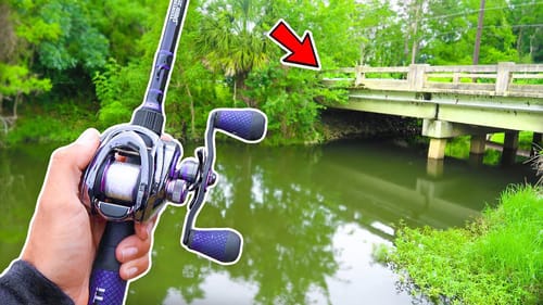 Catching GIANT Bass in HIDDEN Creeks! (Lake Fishing)