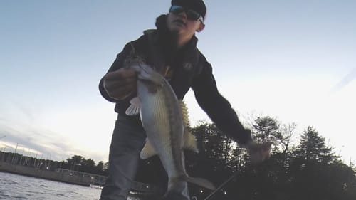 Big Spotted Bass Fishing Lake Lanier "PowerTeam Lures and Jigs"