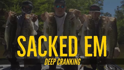 Deep Cranking on Toledo Bend with the Megabass Deep 6