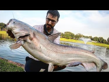POND FISHING for MONSTER CATFISH!!