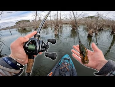 Flipping TREE INFESTED Waters For Winter BASS! (New Lake Ep.1)