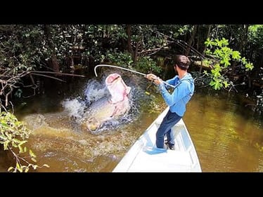 INTENSE BATTLE with MONSTER JUNGLE FISH!!