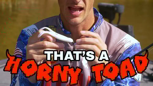 Buzzbait VS Horny Toad Topwater Bass Fishing