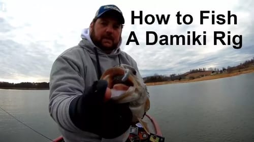 How To Fish The Damiki Rig - Everything You Need To Know