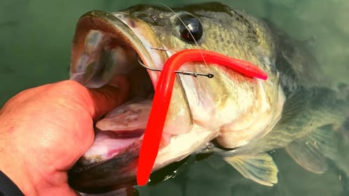 YOU Are TRULY Missing Out If You HAVEN'T Fished Like This