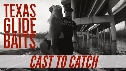 Ladybird Lake Glide Bait Bass Fishing Cast to Catch