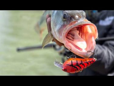 Unlock Shallow Cranking & Swimbaits on Lake Champlain