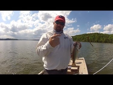 Choosing the Right Hook for Your Soft Plastics