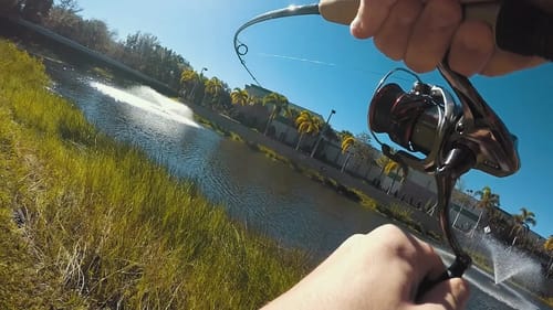 Fishing an ABANDONED Gander Mountain!