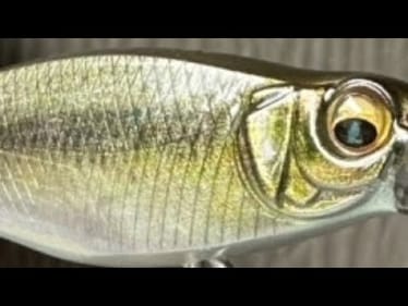 The New Lure Everyone Is Saying Looks ALIVE In The Water…