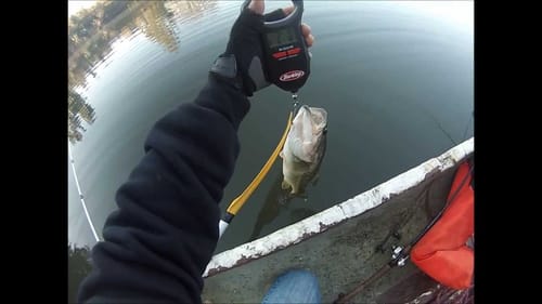 Fresno Bass Fishing 2014
