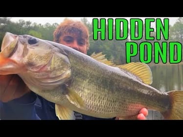Fishing a HIDDEN POND For GIANT BASS!(Middle of the woods!)