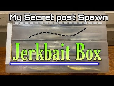 A Sneak Peek Into My Secret Post-Spawn Jerkbait Box