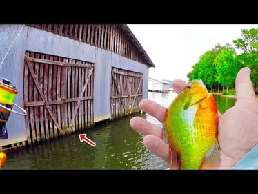 How To Catch Freshwater Catfish Easy!