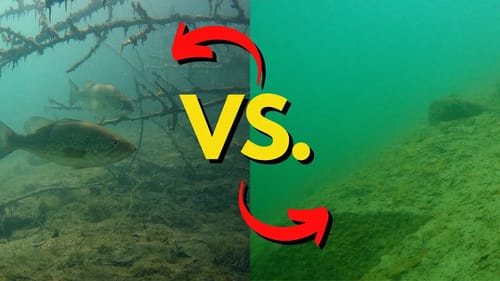 Every Bass Angler Needs to Know This