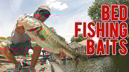 Bass Bed Fishing Baits for Spring