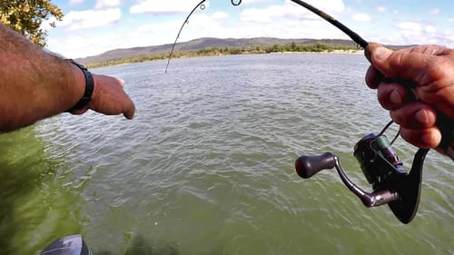 BIG FISH AMBUSHES SHAD!!! Try This When The Fish Won't Bite!