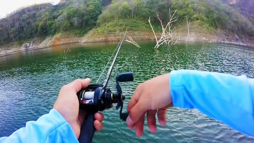 ALWAYS Listen To Your Guides In MEXICO! Bass Fishing