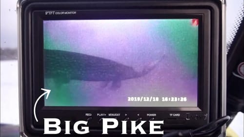 INTENSE Underwater Footage! HUGE Pike on Tip Ups!