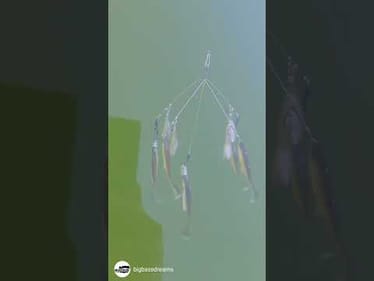Who's Fishing the Alabama Rig this winter!?