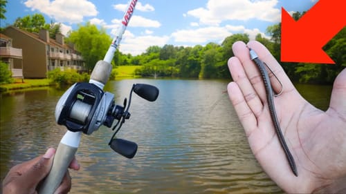 This Lure Helped Me To FINALLY HOOK A BASS