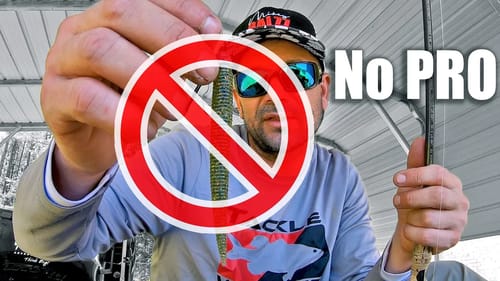 NOT Even the PROS Know to do this with a Ned Rig for Spring Bass