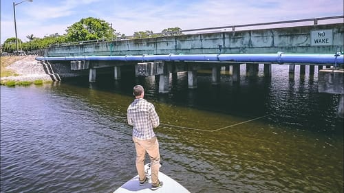 Urban Fishing For Exotic Fish