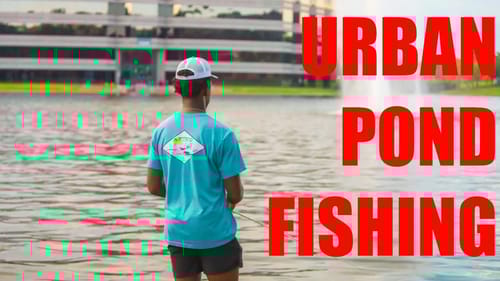 Fishing URBAN PONDS For BIG Bass (URBAN Fishing Challenge)