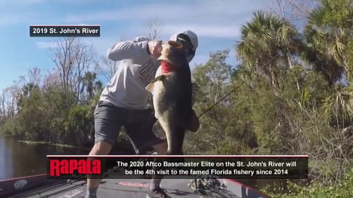Livewell previewing the St. Johns River