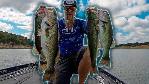 It Has Been A Long Time Since I Got To Do This... Powerful Fall Reaction Bait Combo Fills The Boxes