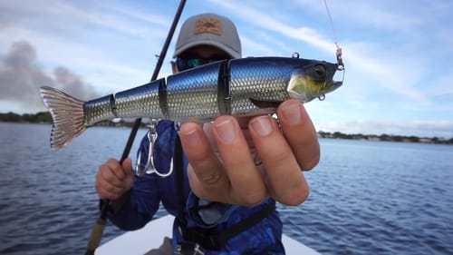 Big Swimbaits in Saltwater