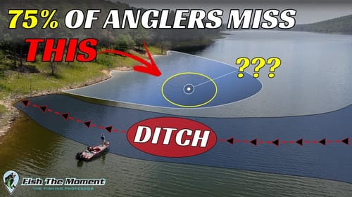 The Best Offshore Anglers on Your Lake Never Talk About This – Don’t Miss Out!