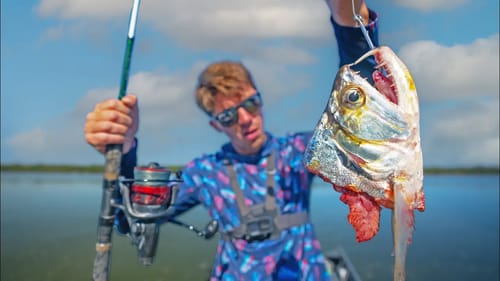 You Wouldn't BELIEVE What Ate This Giant FISH HEAD!