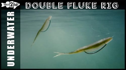 The Double Fluke Rig | What it Looks Like Underwater