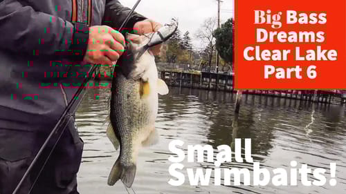 Small Swimbaits and Swimjigs Hammer Bass - Big Bass Dreams Clear Lake Part 6