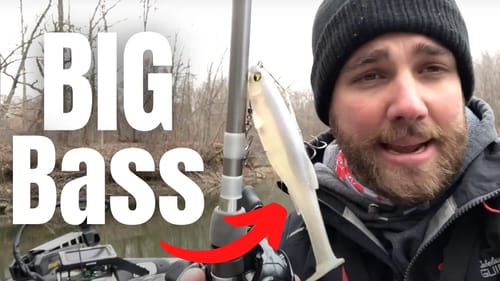 Top 5 EARLY SPRING Bass Lures (For BIG BASS)