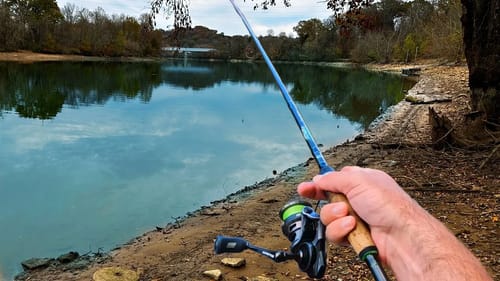 Bank Fishing for Whatever Bites...