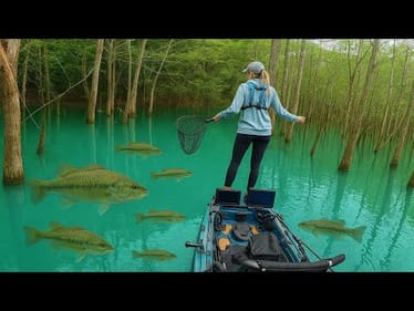 You Won't Believe How Many Fish Were In Shallow Water (Dale Hollow)