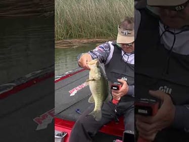 Flippin' reeds with Freddy Palmer