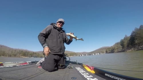 Table Rock Lake/ 3/21/21...Baby Poop Crankbait/ Flipping/ Post-Front