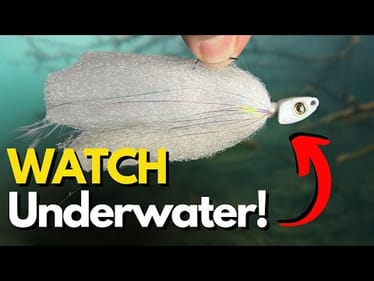 What a Chicken Jig REALLY Looks Like Underwater (Must See Fall!)