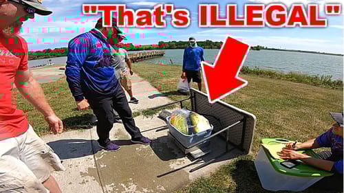 We Used an UNFAIR ADVANTAGE to WIN a Fishing Tournament???