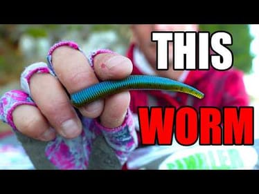 WHY is this the Most HATED Worm RIG in Fishing?